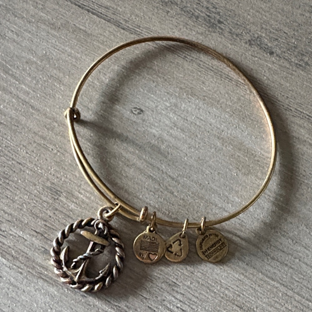 Alex & Ani Charm Bangle Bracelet preloved